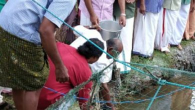 Photo of കർഷകസംഘം സംസ്ഥാന സമ്മേളനത്തിന്റെ ഭാഗമായി കാര ചെമ്മീൻ കൃഷി