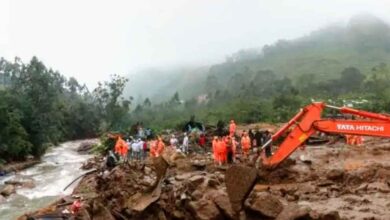 Photo of പെട്ടിമുടി ദുരന്തം: ഇന്ന് മൂന്ന് മൃതദേഹം കൂടി കണ്ടെടുത്തു