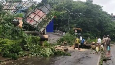 Photo of വടക്കന്‍ കേരളത്തില്‍ കനത്ത മഴ;വ്യാപക നാശനഷ്‌ടം;വീടിന് മുകളിൽ മരം വീണ് ആറു വയസ്സുകാരി മരിച്ചു