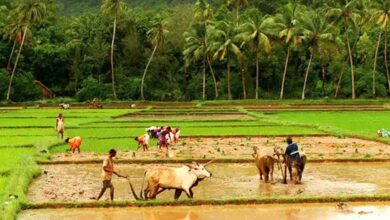 Photo of കർഷകരുടെ ക്ഷേമത്തിന് 75,060 കോടി രൂപ